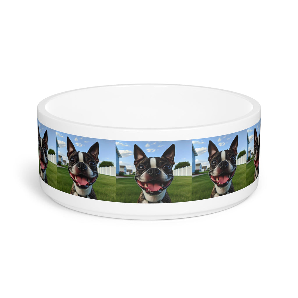 Ceramic Pet Bowl – 16 oz Dog Feeding Bowl