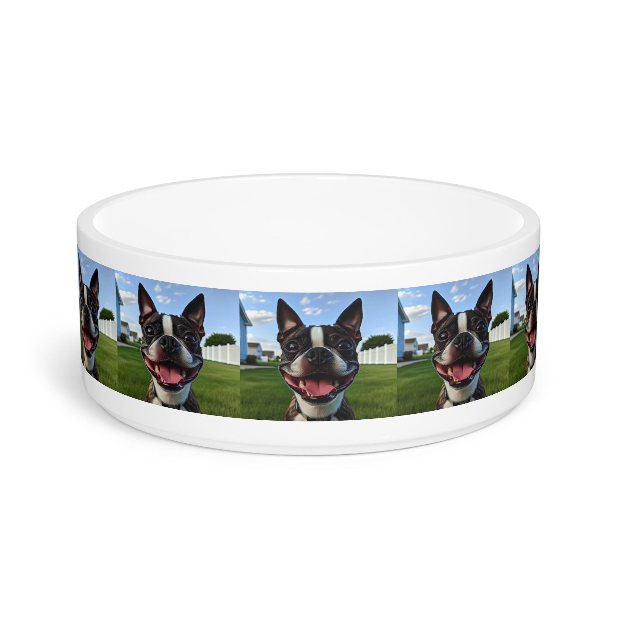 Ceramic Pet Bowl – 16 oz Dog Feeding Bowl