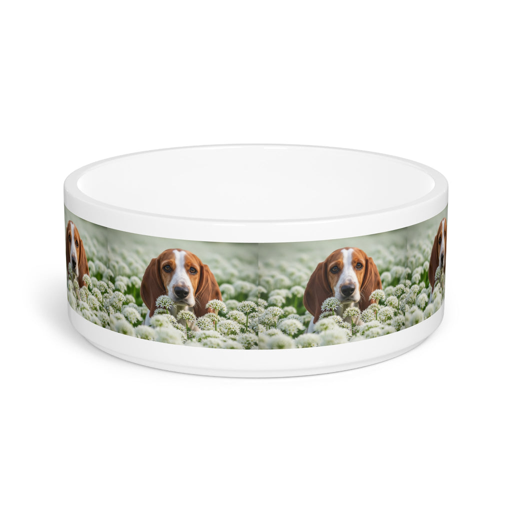 Ceramic Pet Bowl – 16 oz Dog Feeding Bowl