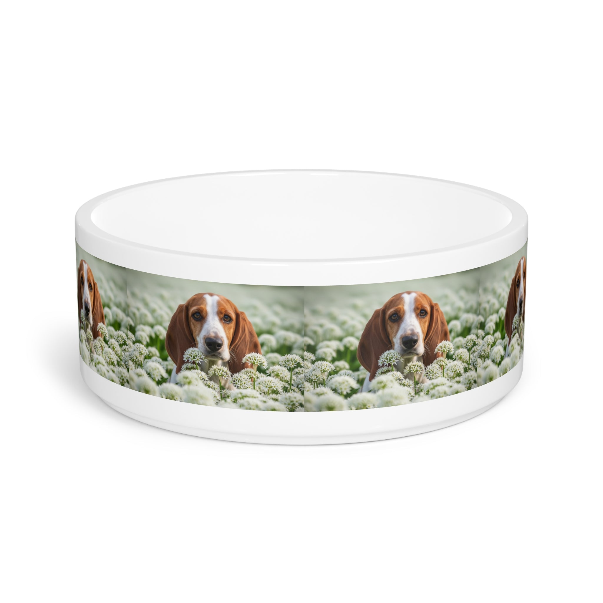 Ceramic Pet Bowl – 16 oz Dog Feeding Bowl