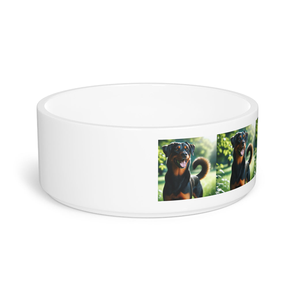 Ceramic Pet Bowl – 16 oz Dog Feeding Bowl