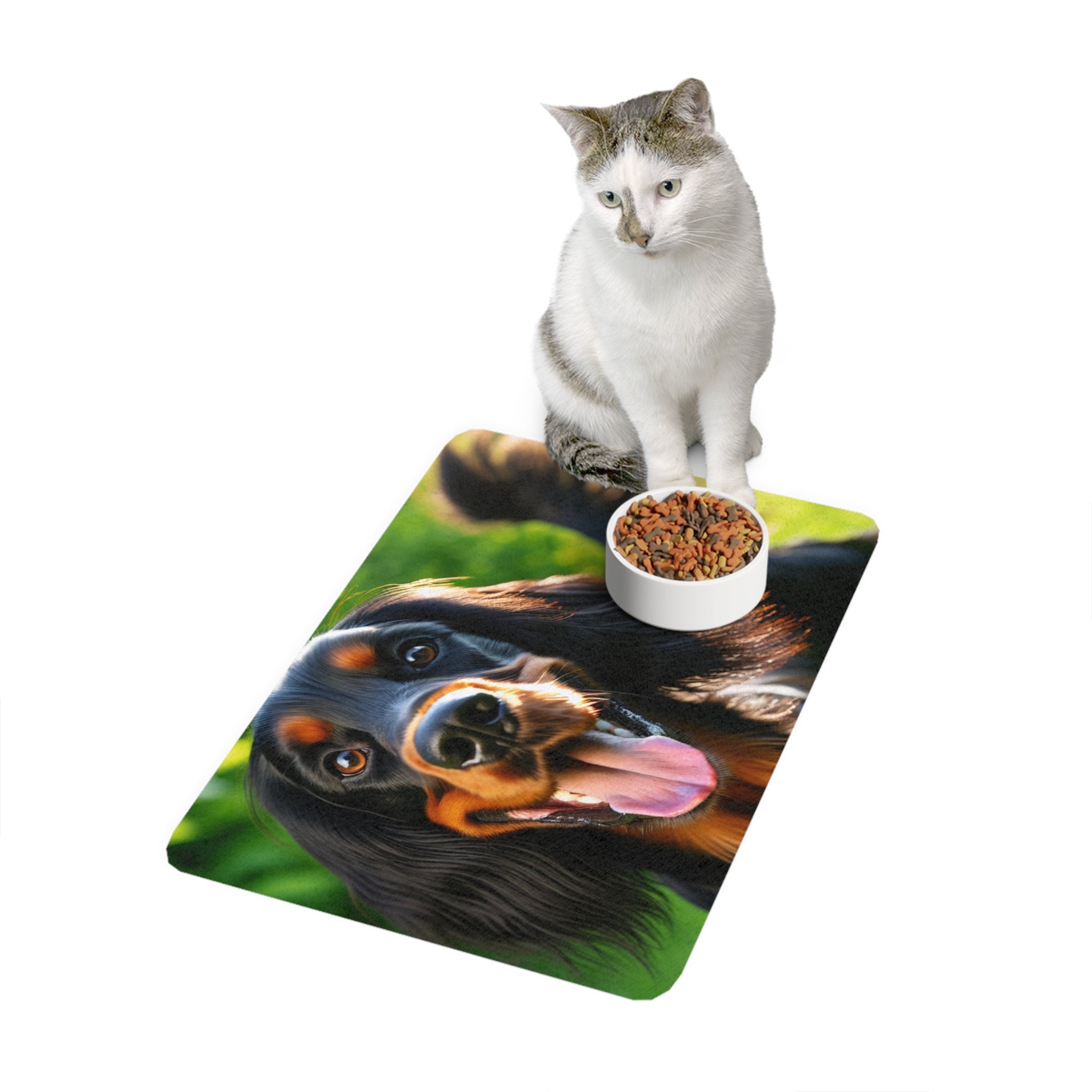 Non-Slip Pet Food Mat – Waterproof Feeding Mat for Dogs