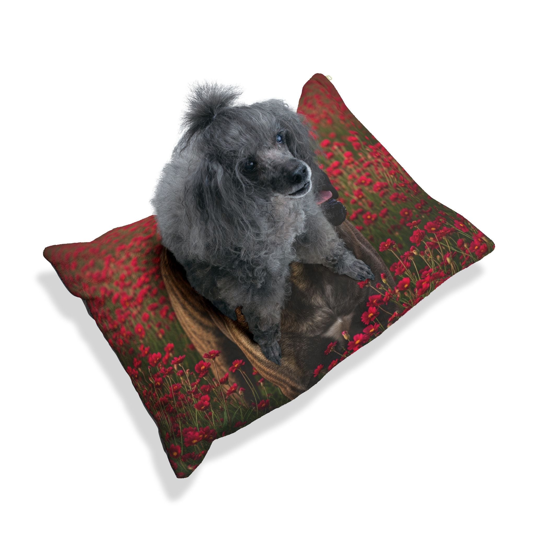 Pet Bed – Plush Dog Bed, 3 Size Options