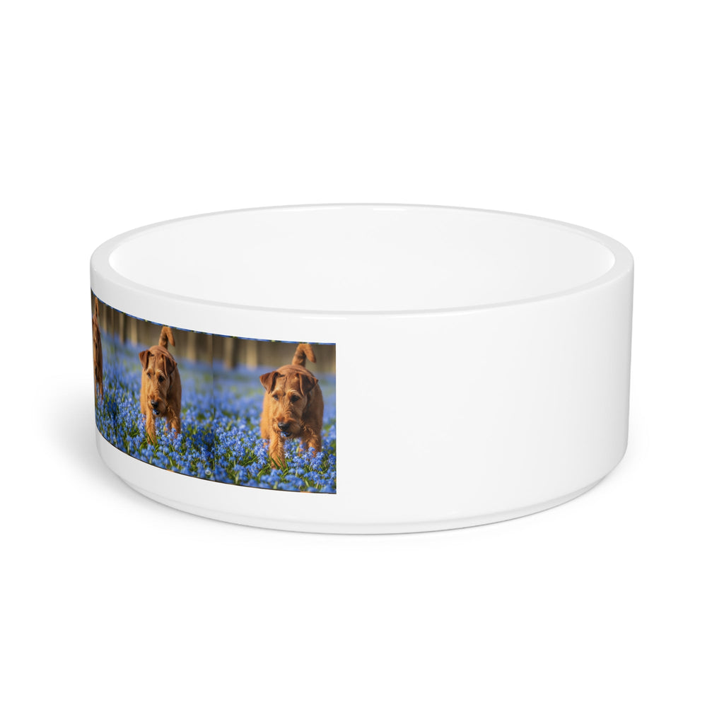 Ceramic Pet Bowl – 16 oz Dog Feeding Bowl