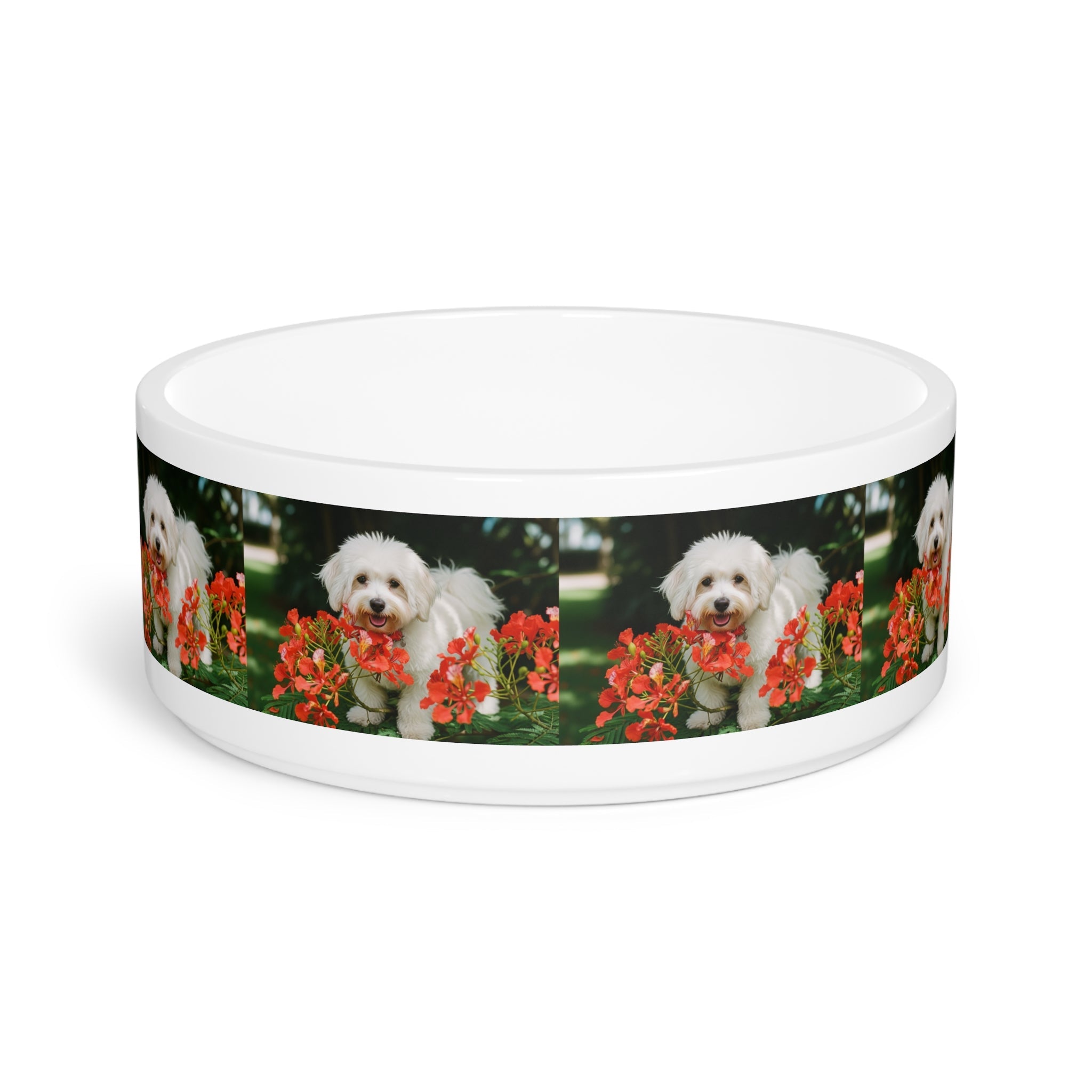 Ceramic Pet Bowl – 16 oz Dog Feeding Bowl