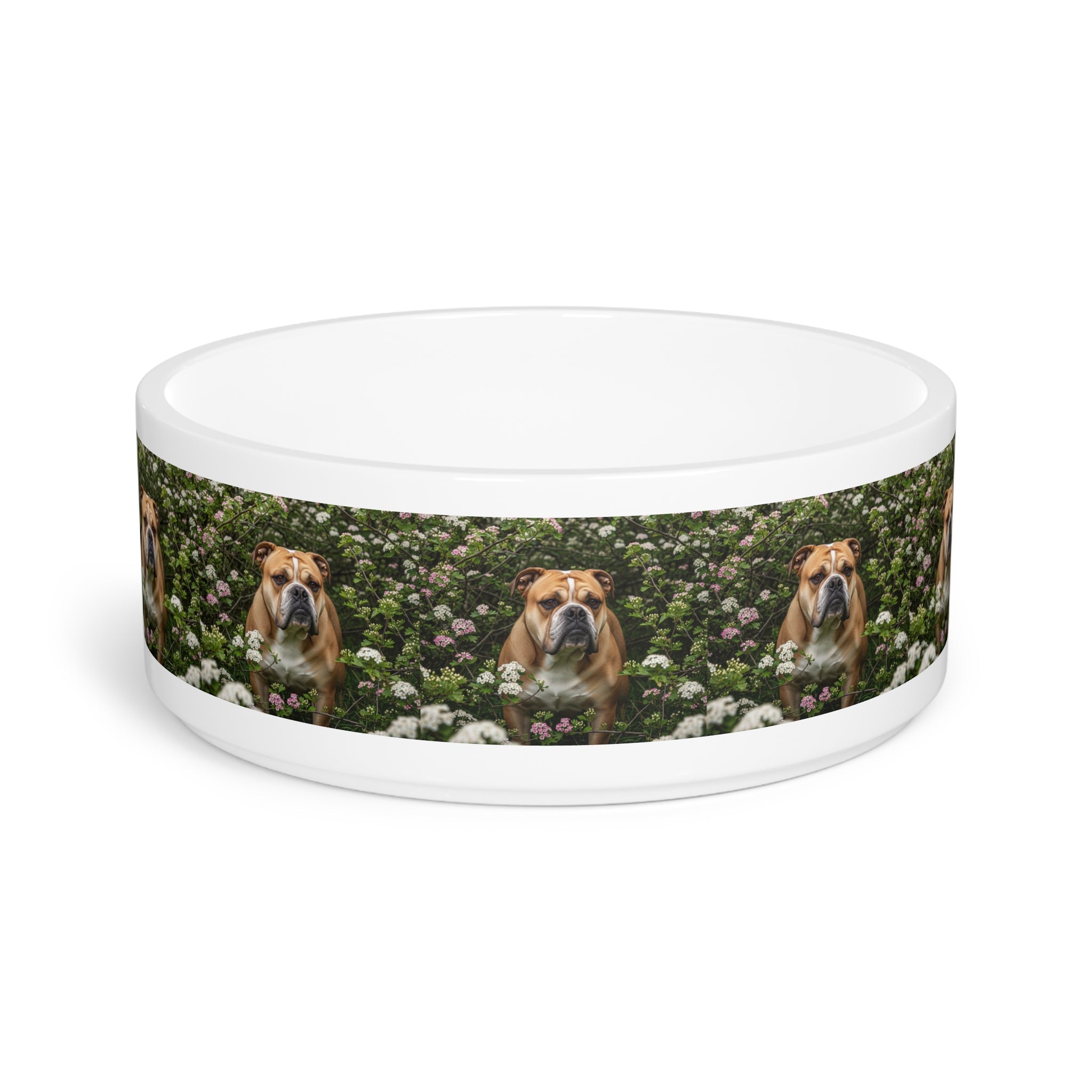 Ceramic Pet Bowl – 16 oz Dog Feeding Bowl