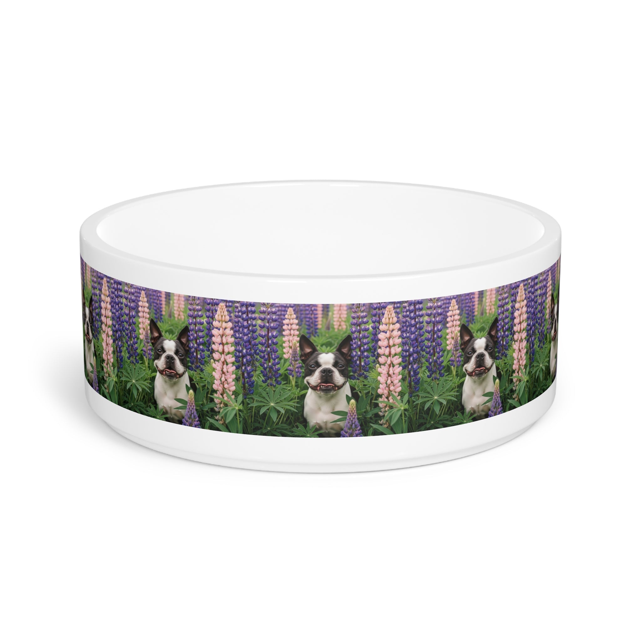 Ceramic Pet Bowl – 16 oz Dog Feeding Bowl