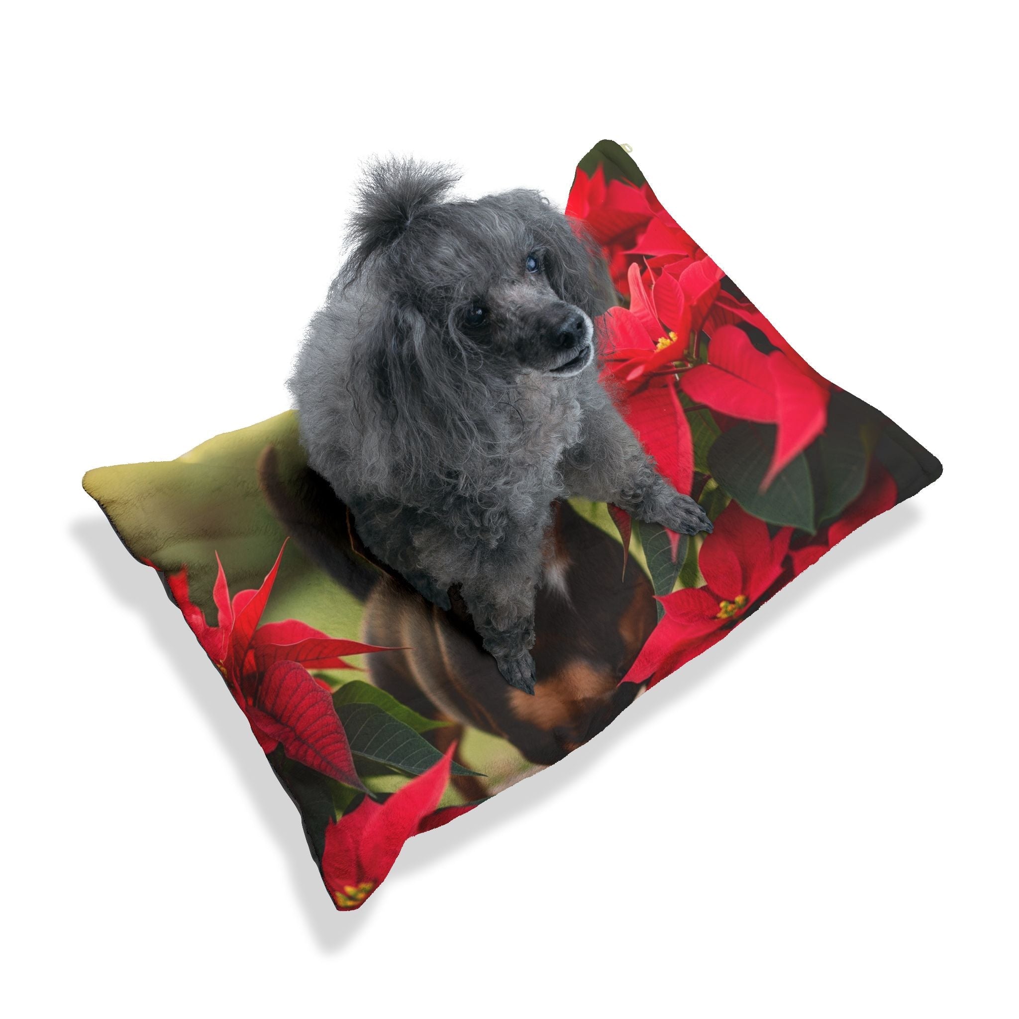 Pet Bed – Plush Dog Bed, 3 Size Options