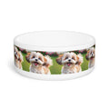 Ceramic Pet Bowl – 16 oz Dog Feeding Bowl