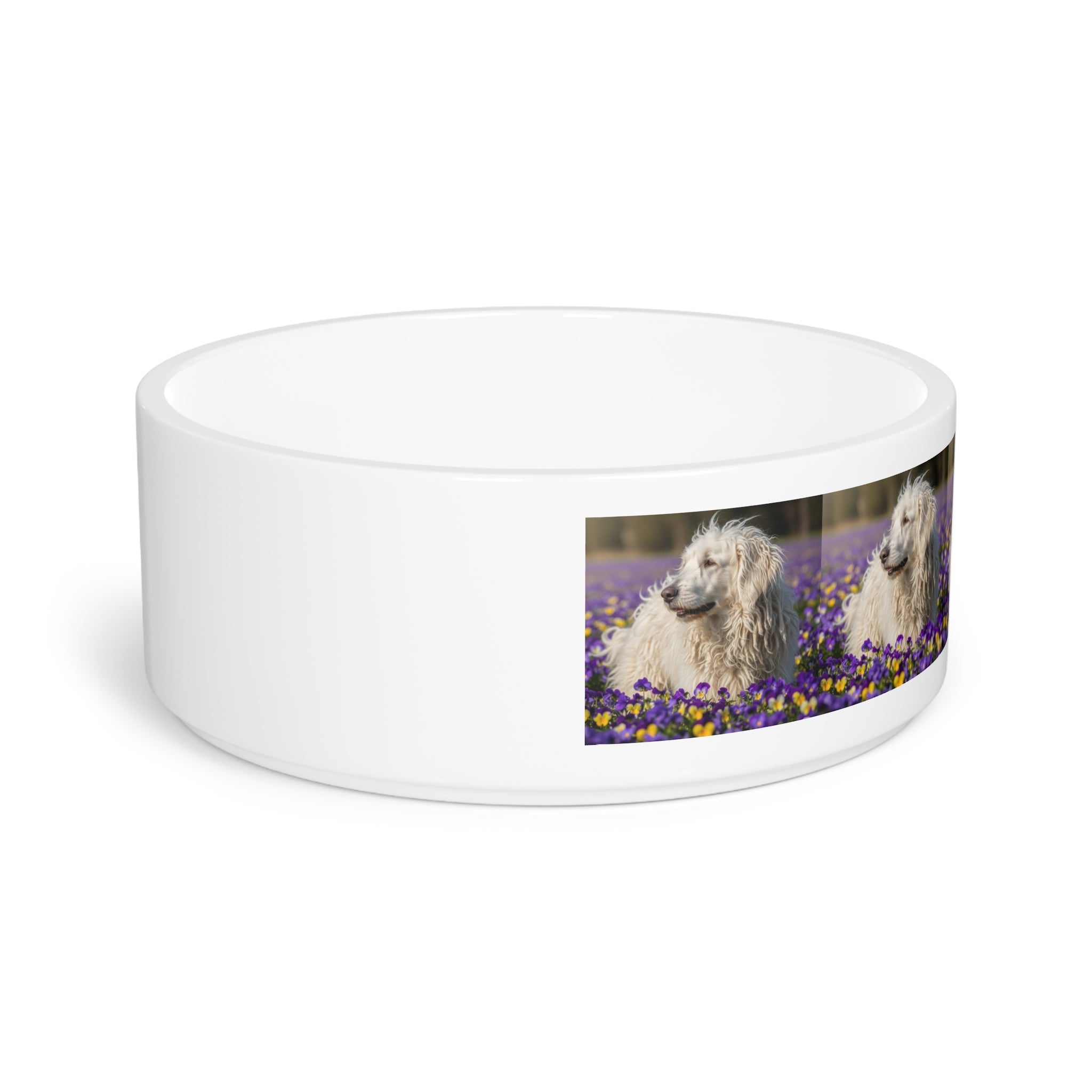 Ceramic Pet Bowl – 16 oz Dog Feeding Bowl