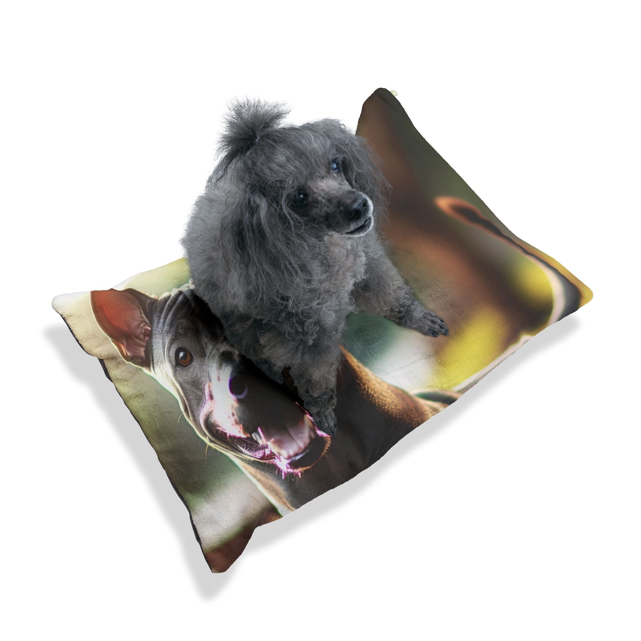 Pet Bed – Plush Dog Bed, 3 Size Options