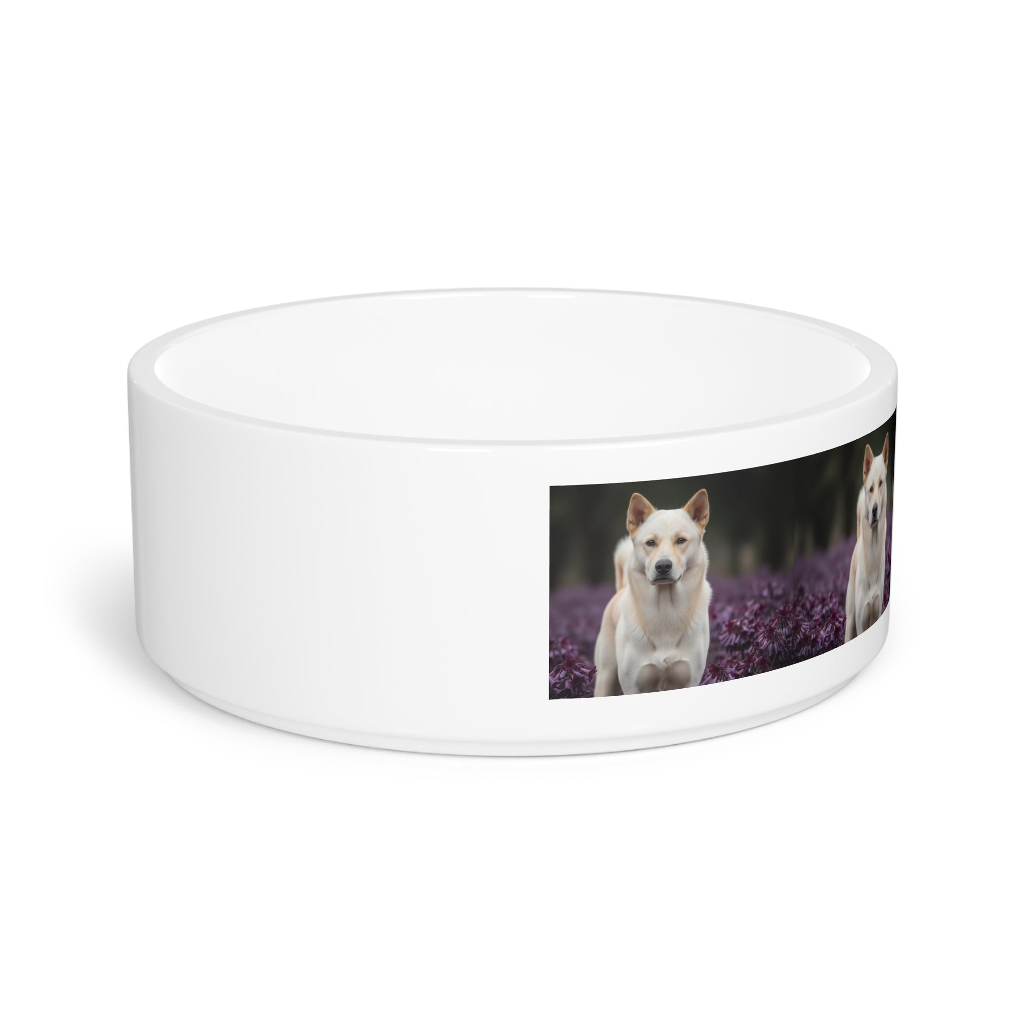 Ceramic Pet Bowl – 16 oz Dog Feeding Bowl
