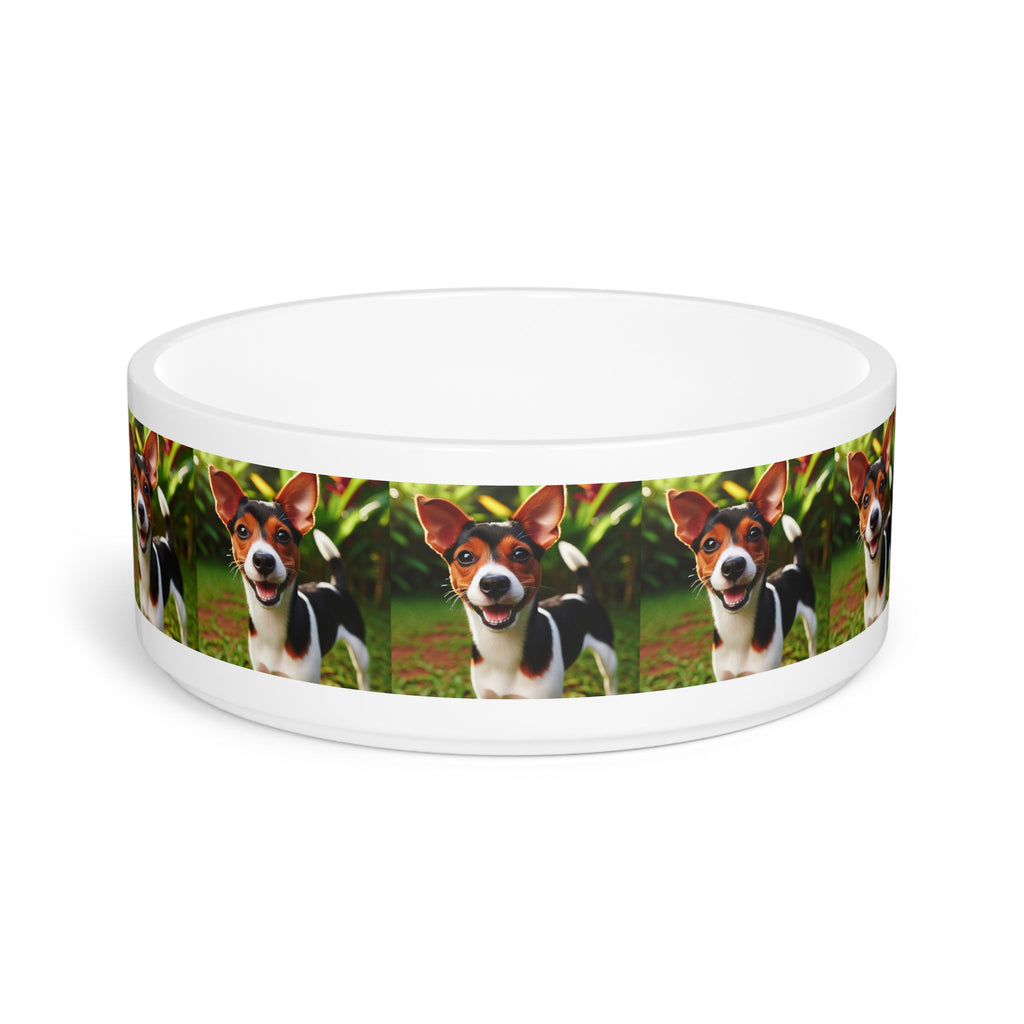 Ceramic Pet Bowl – 16 oz Dog Feeding Bowl