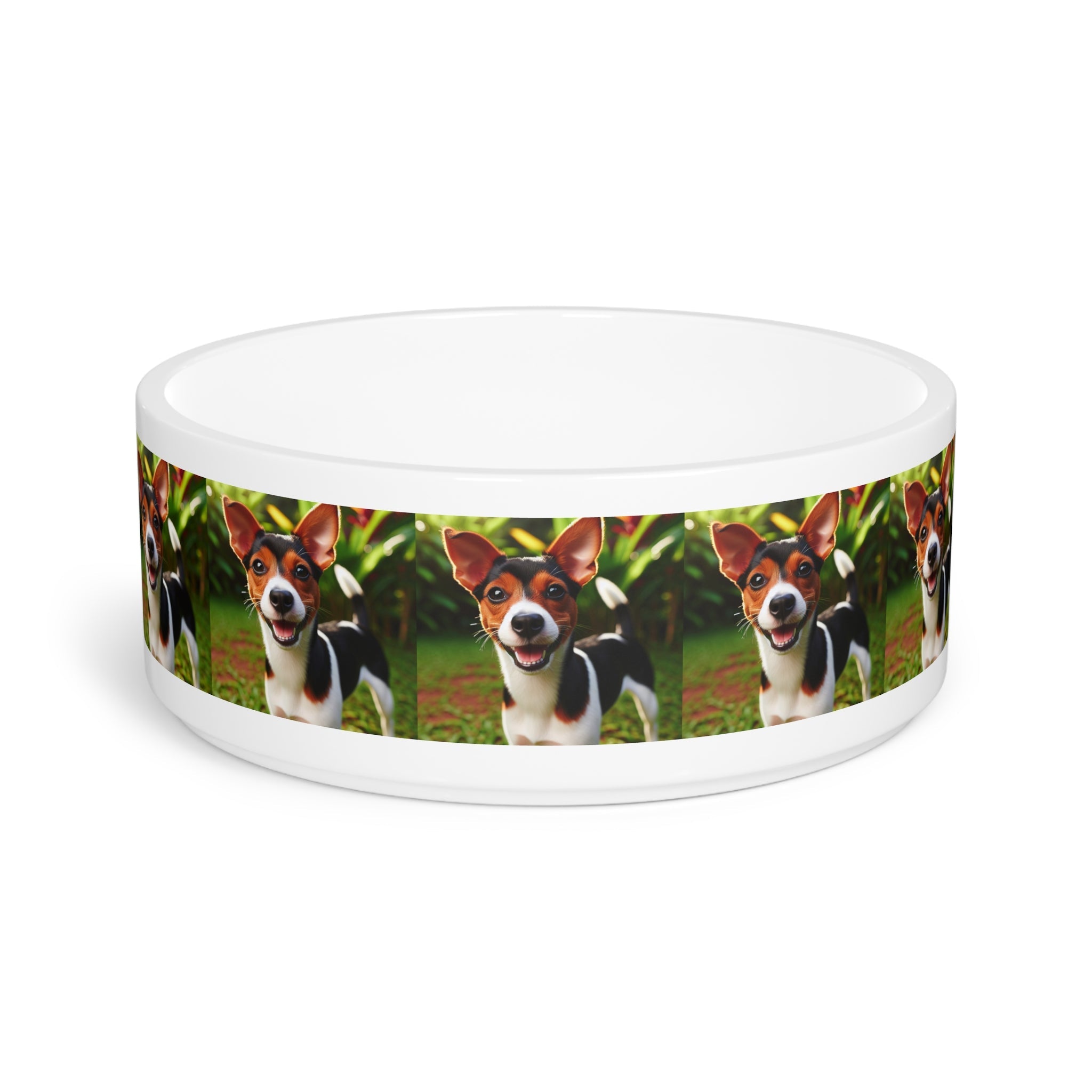 Ceramic Pet Bowl – 16 oz Dog Feeding Bowl