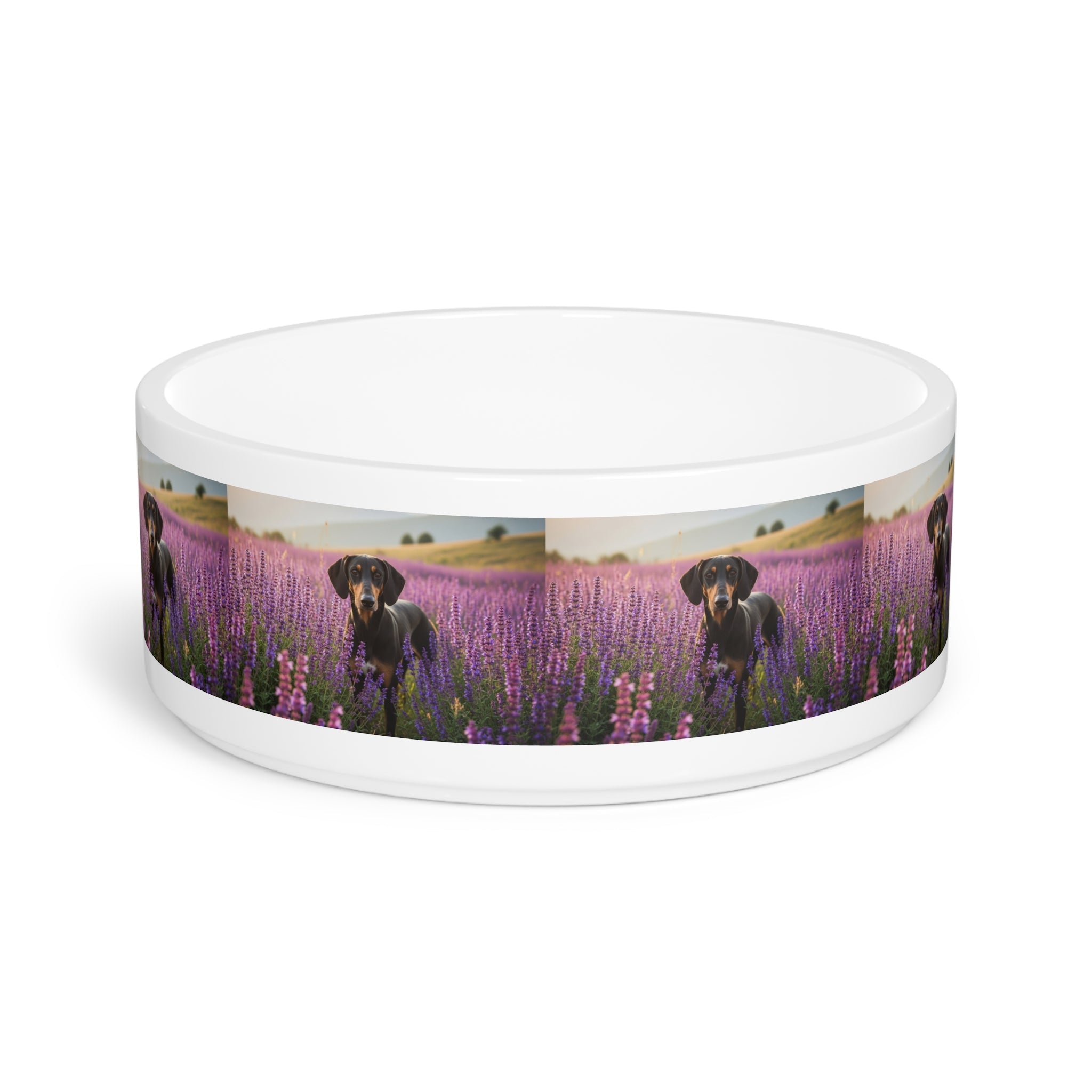 Ceramic Pet Bowl – 16 oz Dog Feeding Bowl