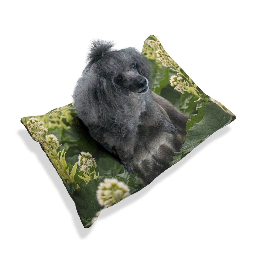 Pet Bed – Plush Dog Bed, 3 Size Options