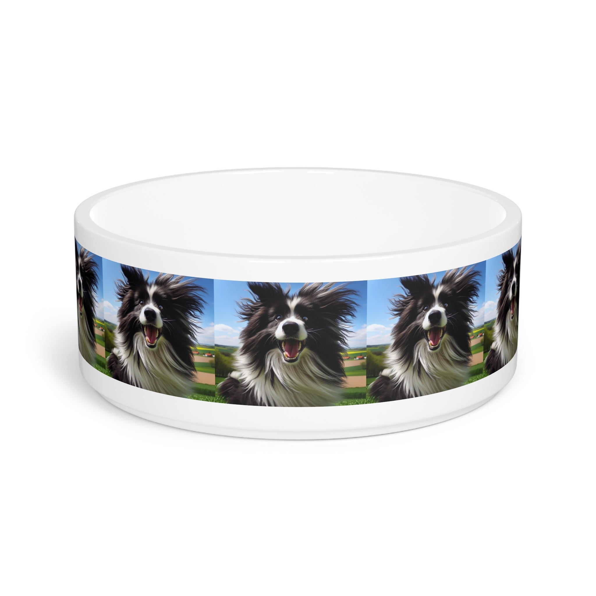 Ceramic Pet Bowl – 16 oz Dog Feeding Bowl