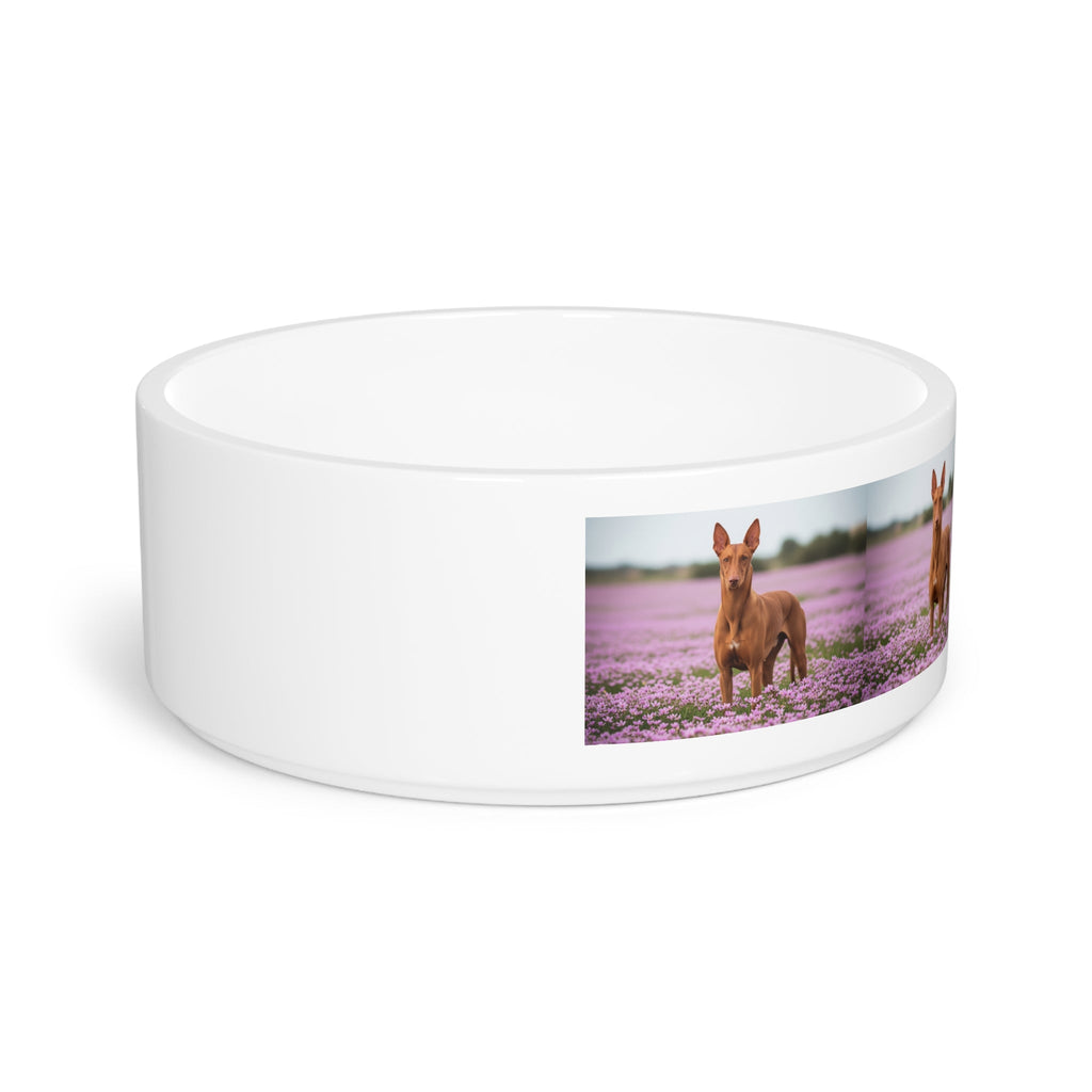 Ceramic Pet Bowl – 16 oz Dog Feeding Bowl