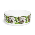 Ceramic Pet Bowl – 16 oz Dog Feeding Bowl