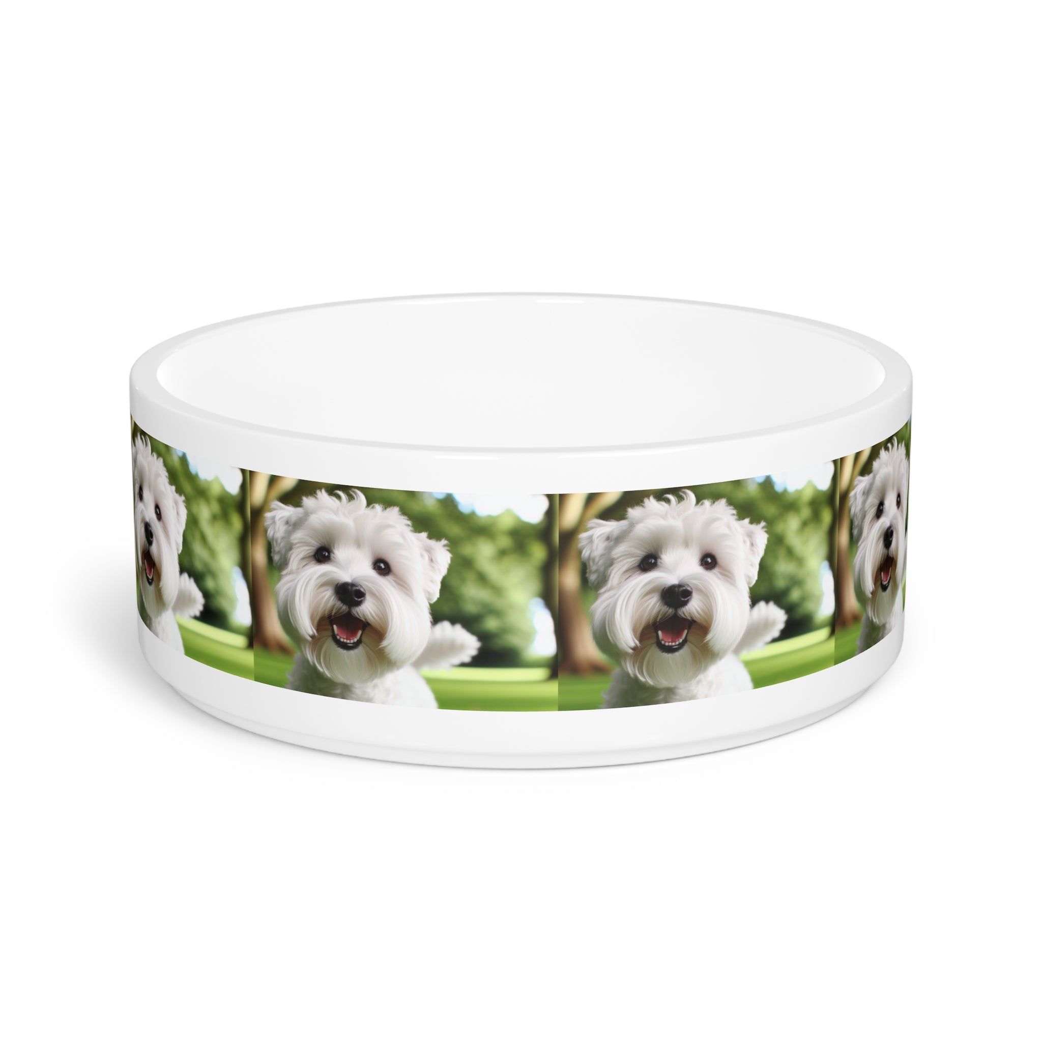 Ceramic Pet Bowl – 16 oz Dog Feeding Bowl