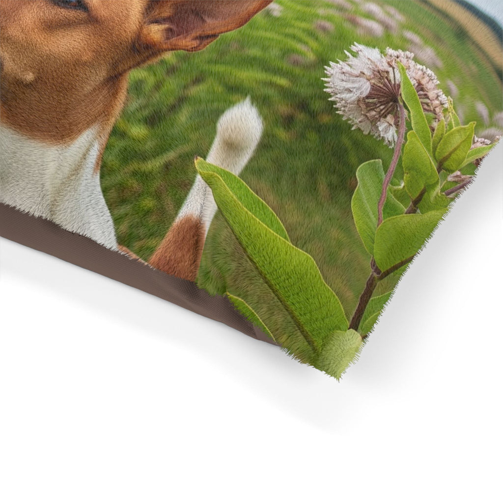 Pet Bed – Plush Dog Bed, 3 Size Options