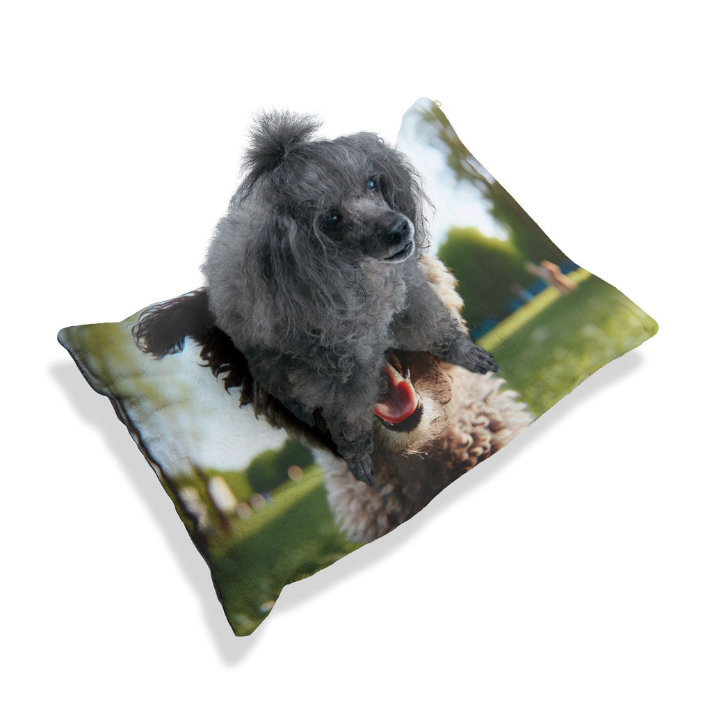 Pet Bed – Plush Dog Bed, 3 Size Options