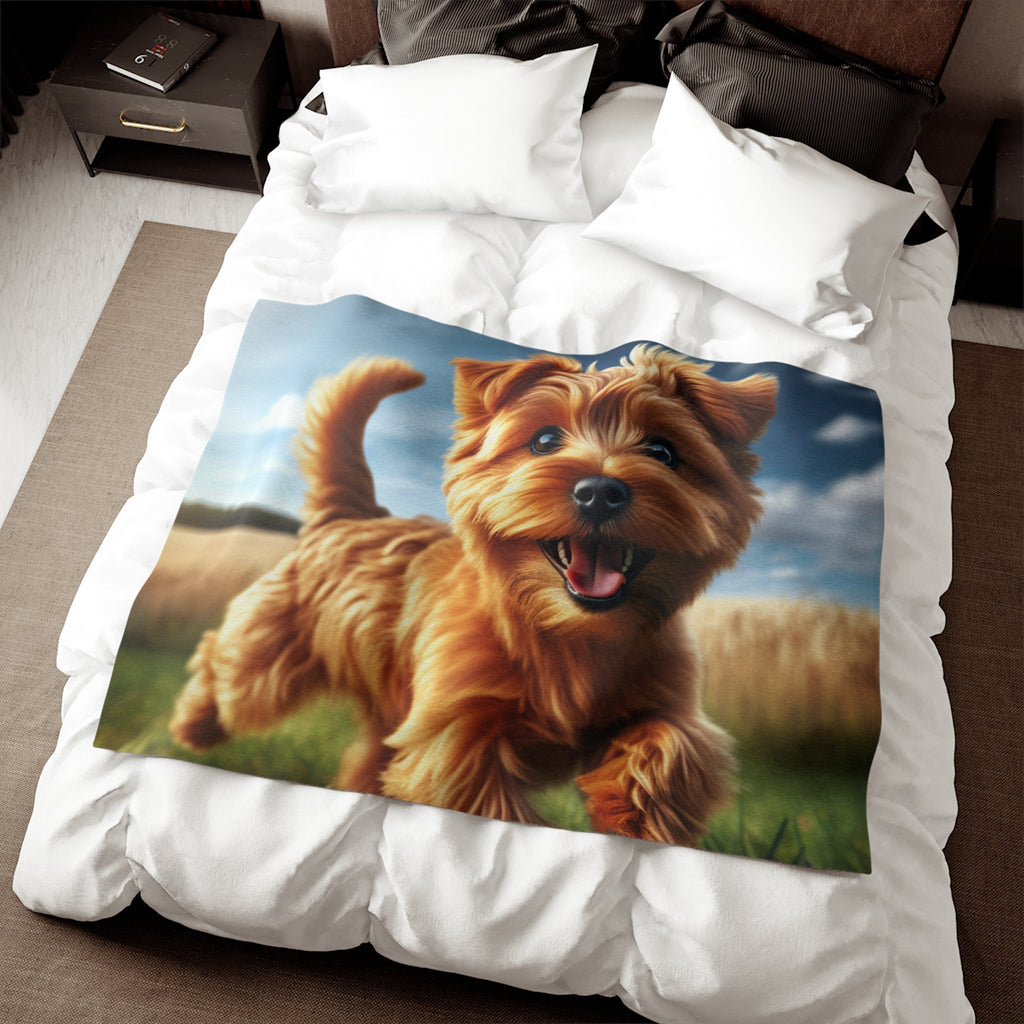 Sweatshirt Blanket – Plush Fleece Throw, 2 Size Options