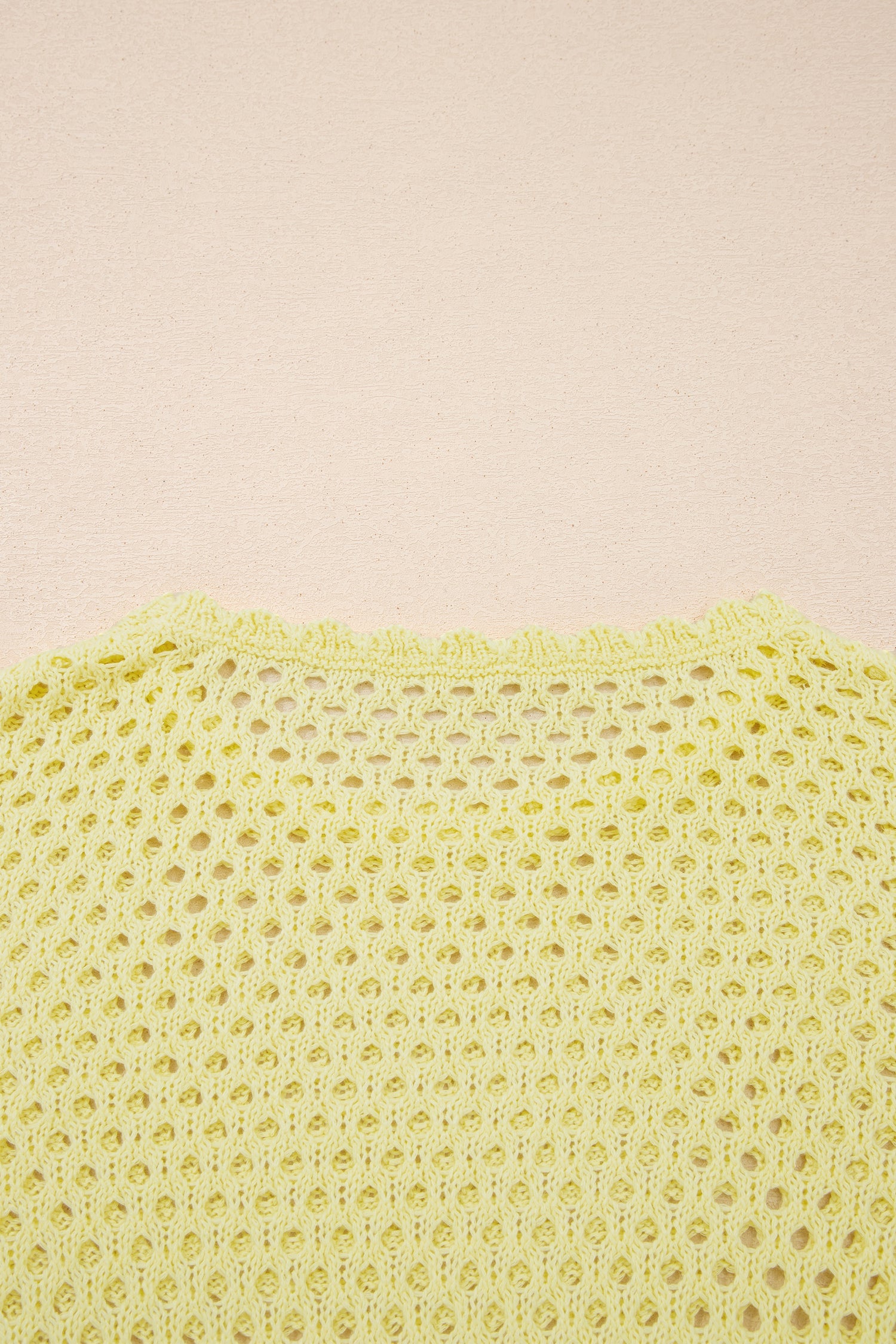 Scalloped Trim Hollow Out Knit Long Sleeve Top