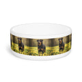Ceramic Pet Bowl – 16 oz Dog Feeding Bowl