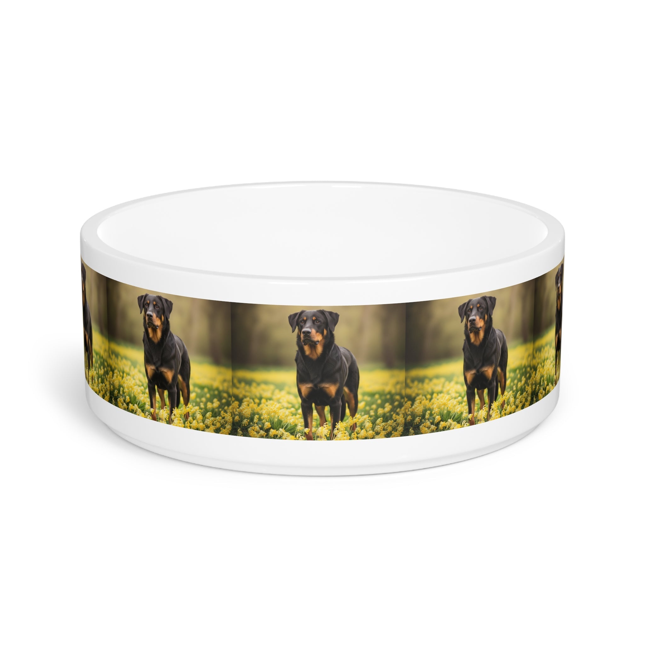 Ceramic Pet Bowl – 16 oz Dog Feeding Bowl