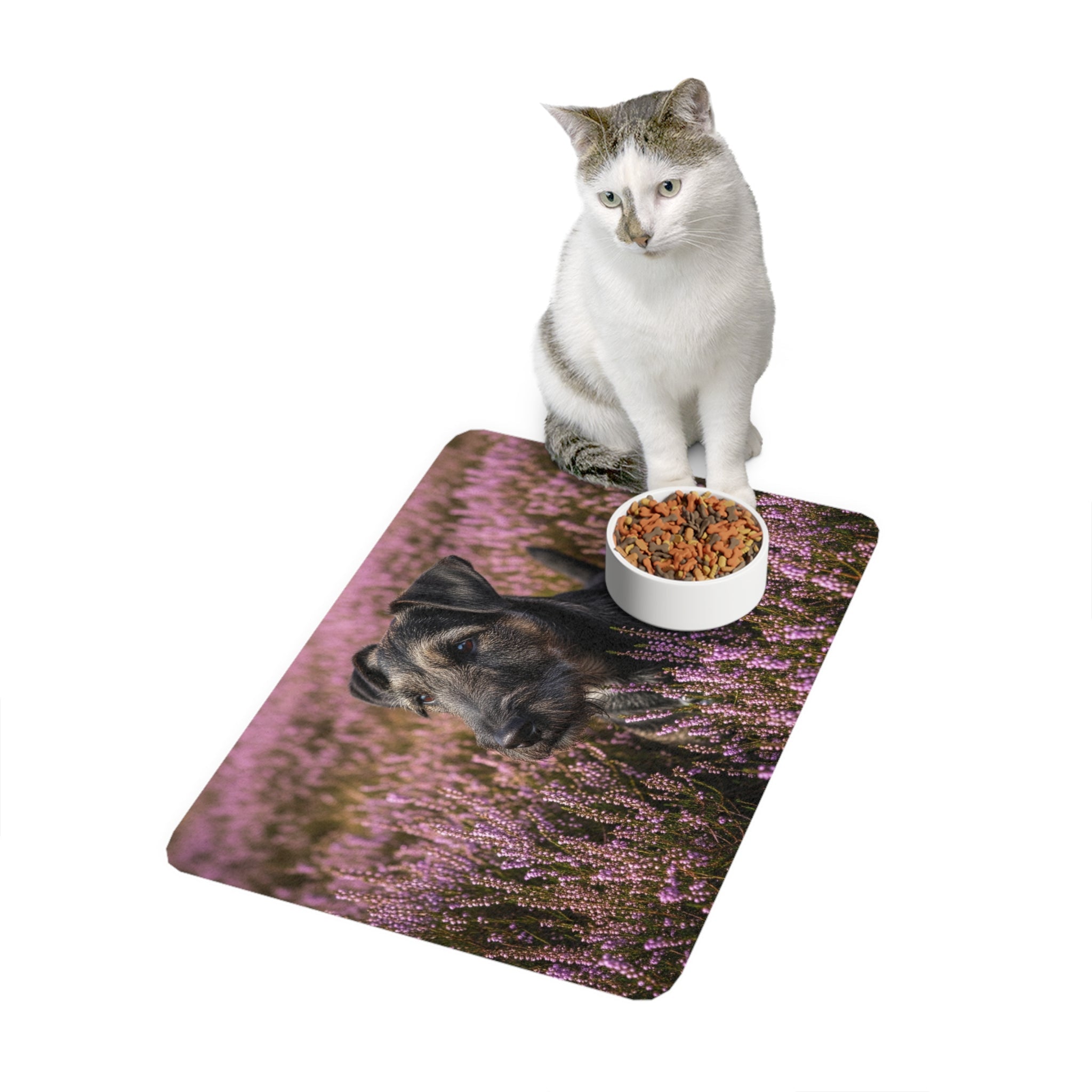 Non-Slip Pet Food Mat – Waterproof Feeding Mat for Dogs