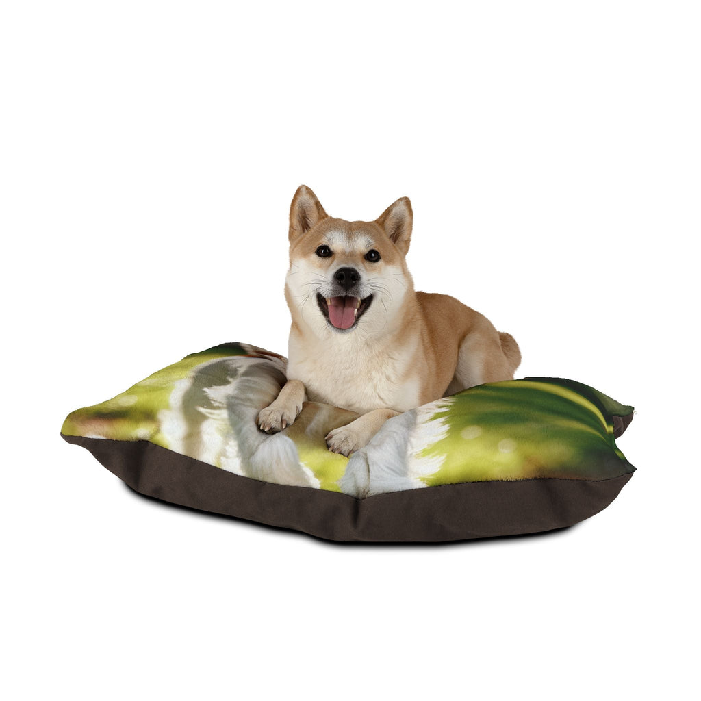 Pet Bed – Plush Dog Bed, 3 Size Options