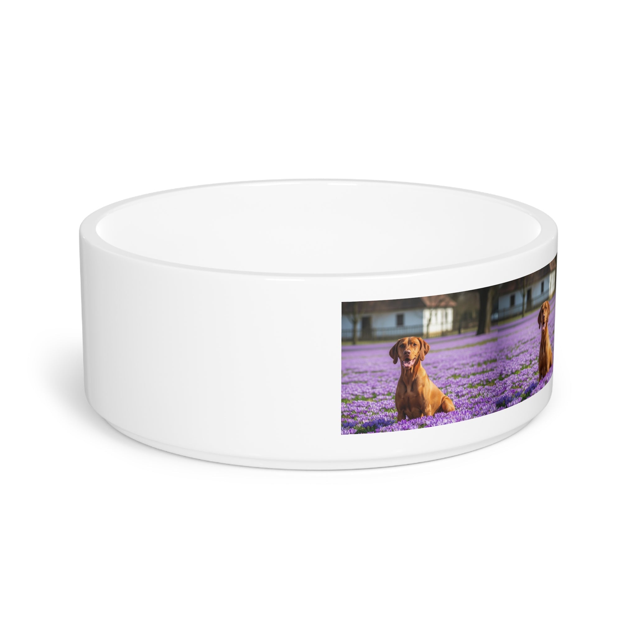 Ceramic Pet Bowl – 16 oz Dog Feeding Bowl
