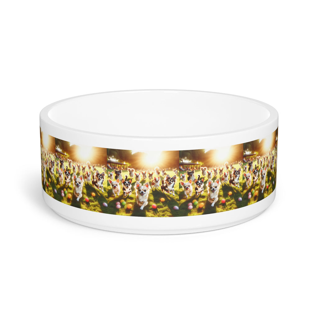 Ceramic Pet Bowl – 16 oz Dog Feeding Bowl
