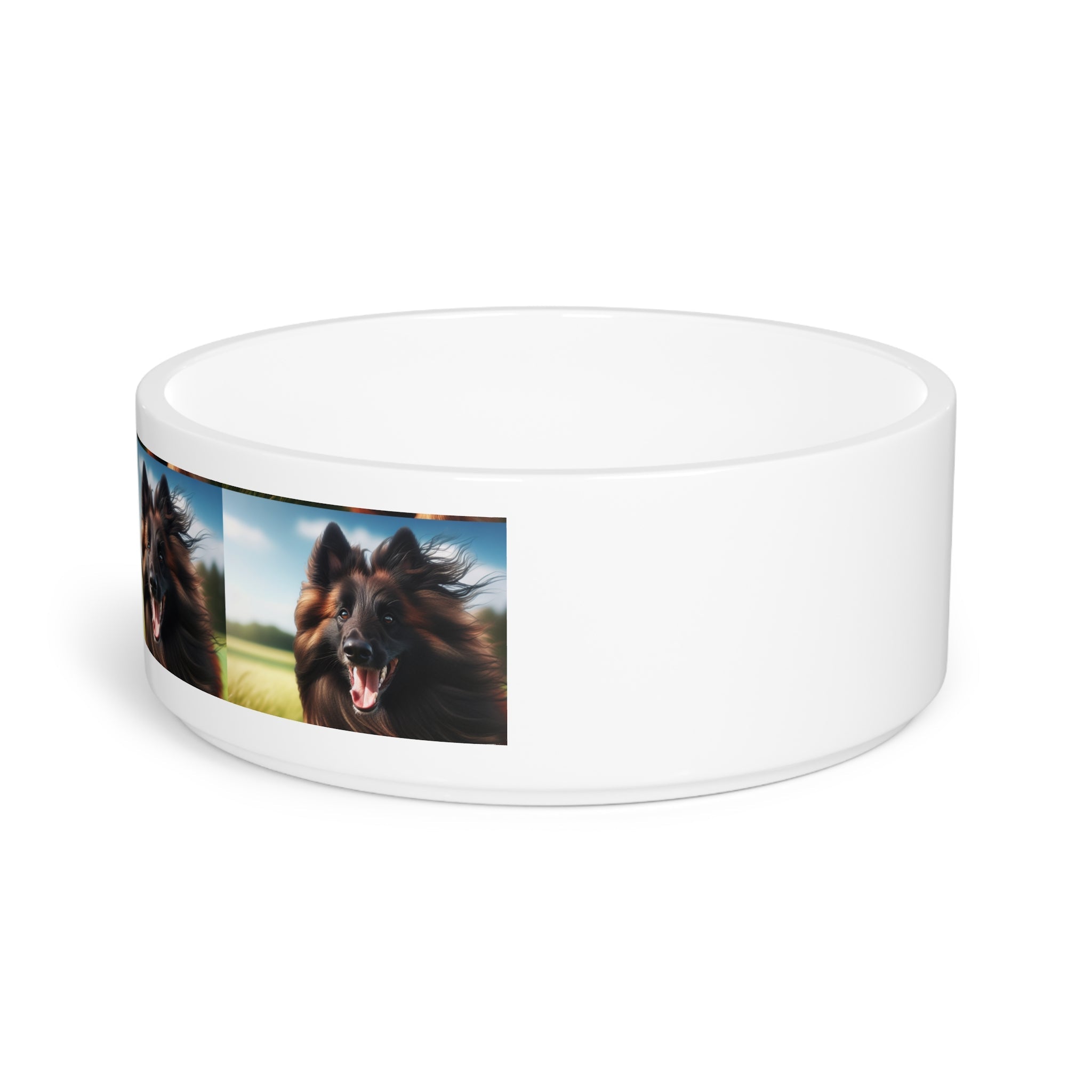 Ceramic Pet Bowl – 16 oz Dog Feeding Bowl