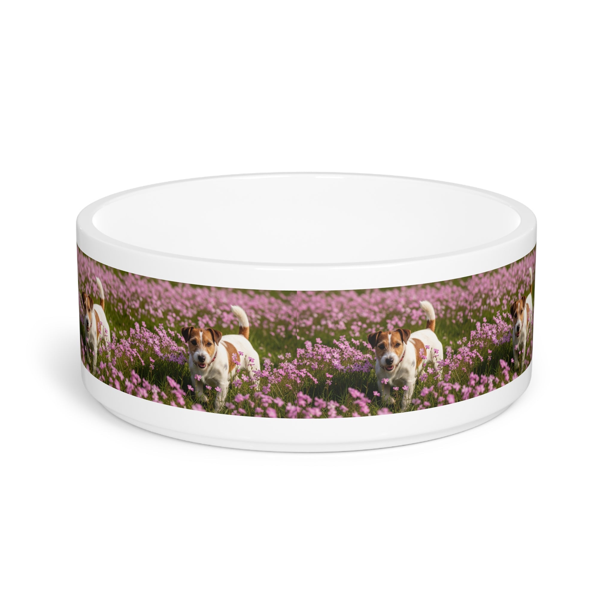 Ceramic Pet Bowl – 16 oz Dog Feeding Bowl