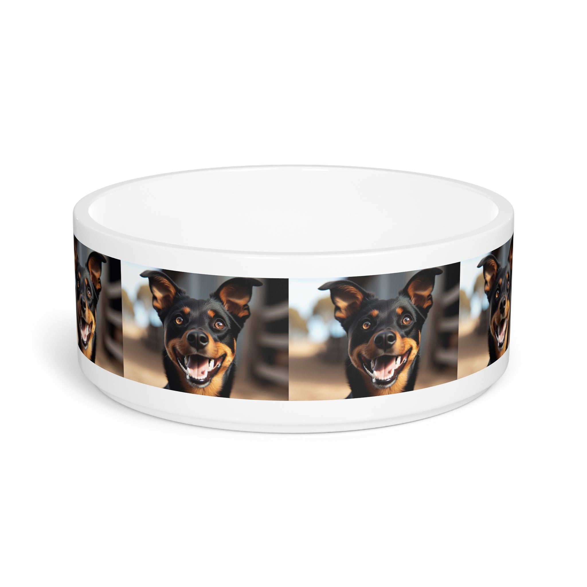 Ceramic Pet Bowl – 16 oz Dog Feeding Bowl