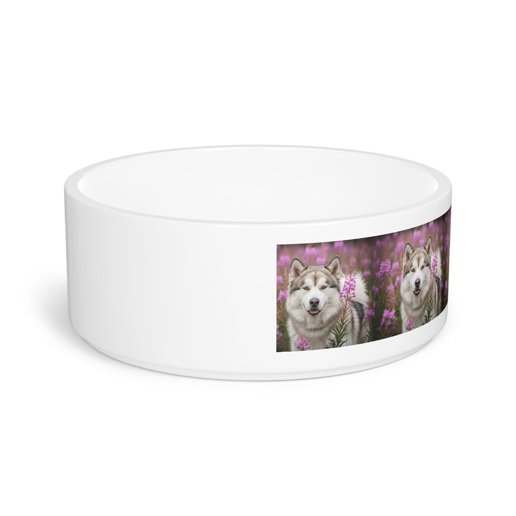 Ceramic Pet Bowl – 16 oz Dog Feeding Bowl