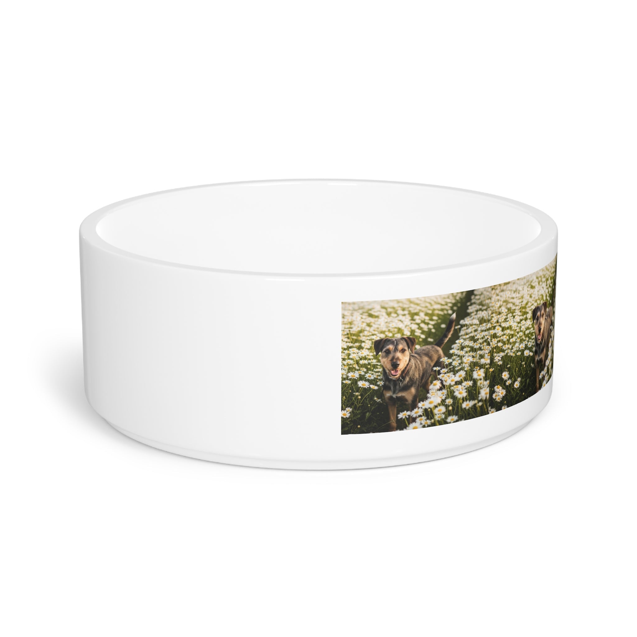 Ceramic Pet Bowl – 16 oz Dog Feeding Bowl