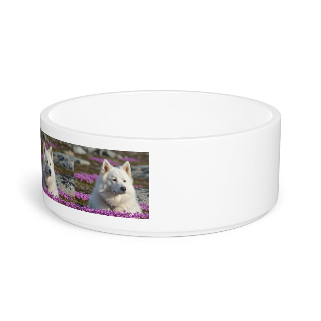 Ceramic Pet Bowl – 16 oz Dog Feeding Bowl