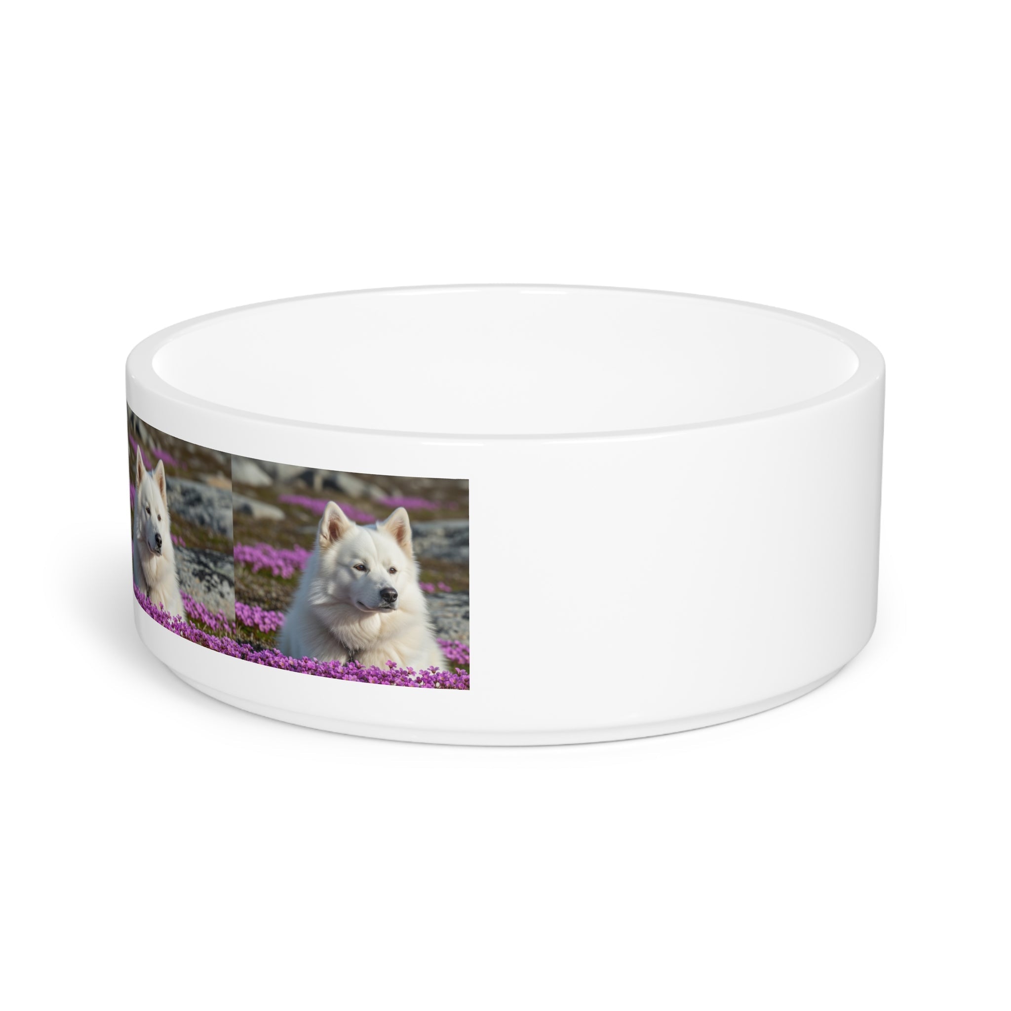 Ceramic Pet Bowl – 16 oz Dog Feeding Bowl