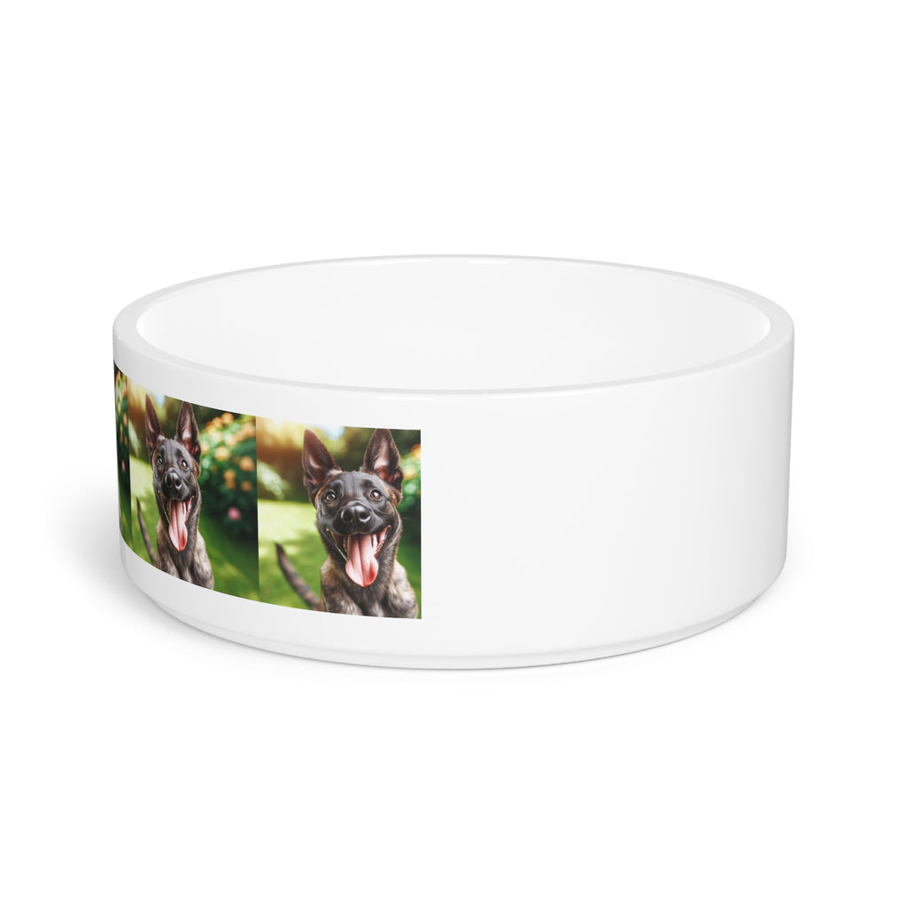 Ceramic Pet Bowl – 16 oz Dog Feeding Bowl