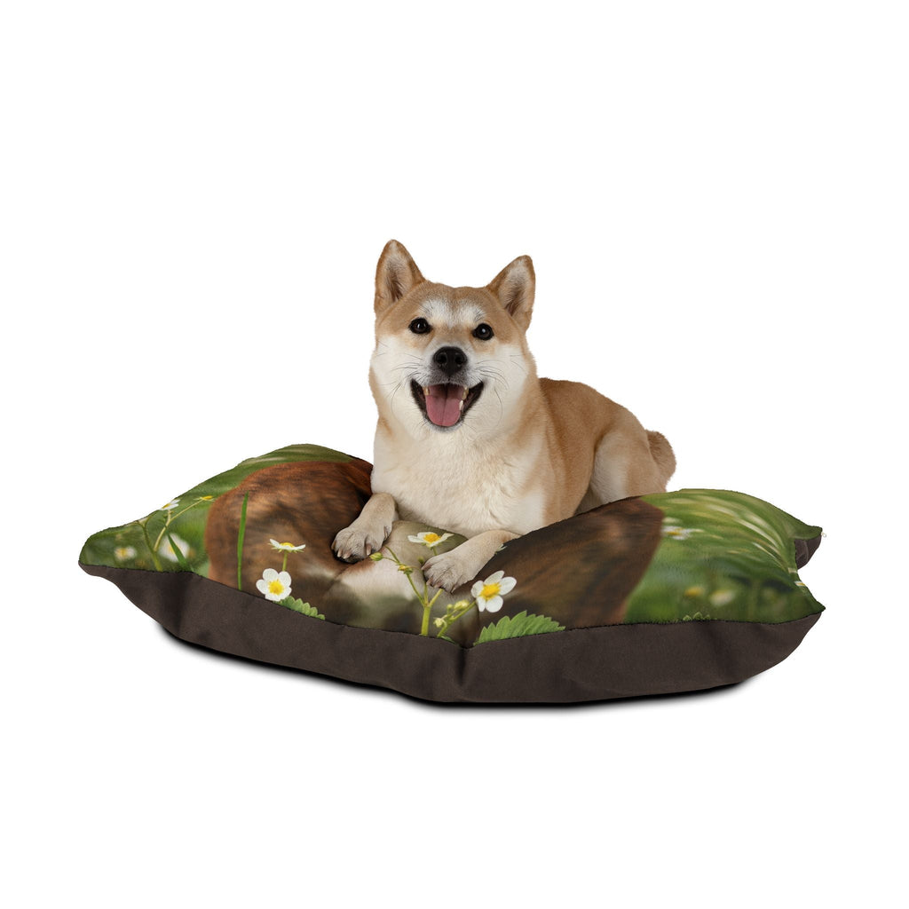Pet Bed – Plush Dog Bed, 3 Size Options