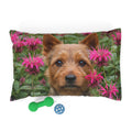 Pet Bed – Plush Dog Bed, 3 Size Options