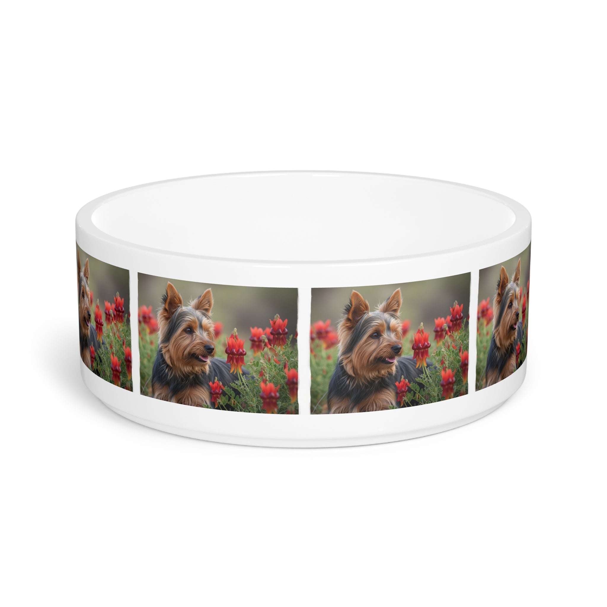 Ceramic Pet Bowl – 16 oz Dog Feeding Bowl