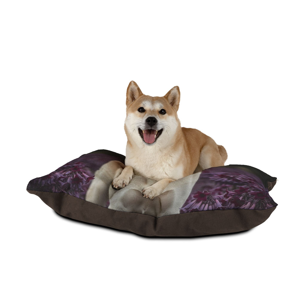Pet Bed – Plush Dog Bed, 3 Size Options