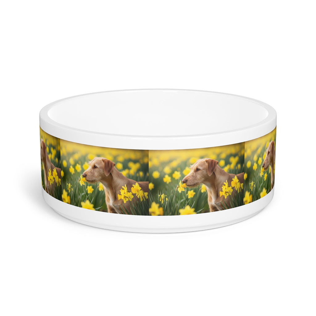 Ceramic Pet Bowl – 16 oz Dog Feeding Bowl