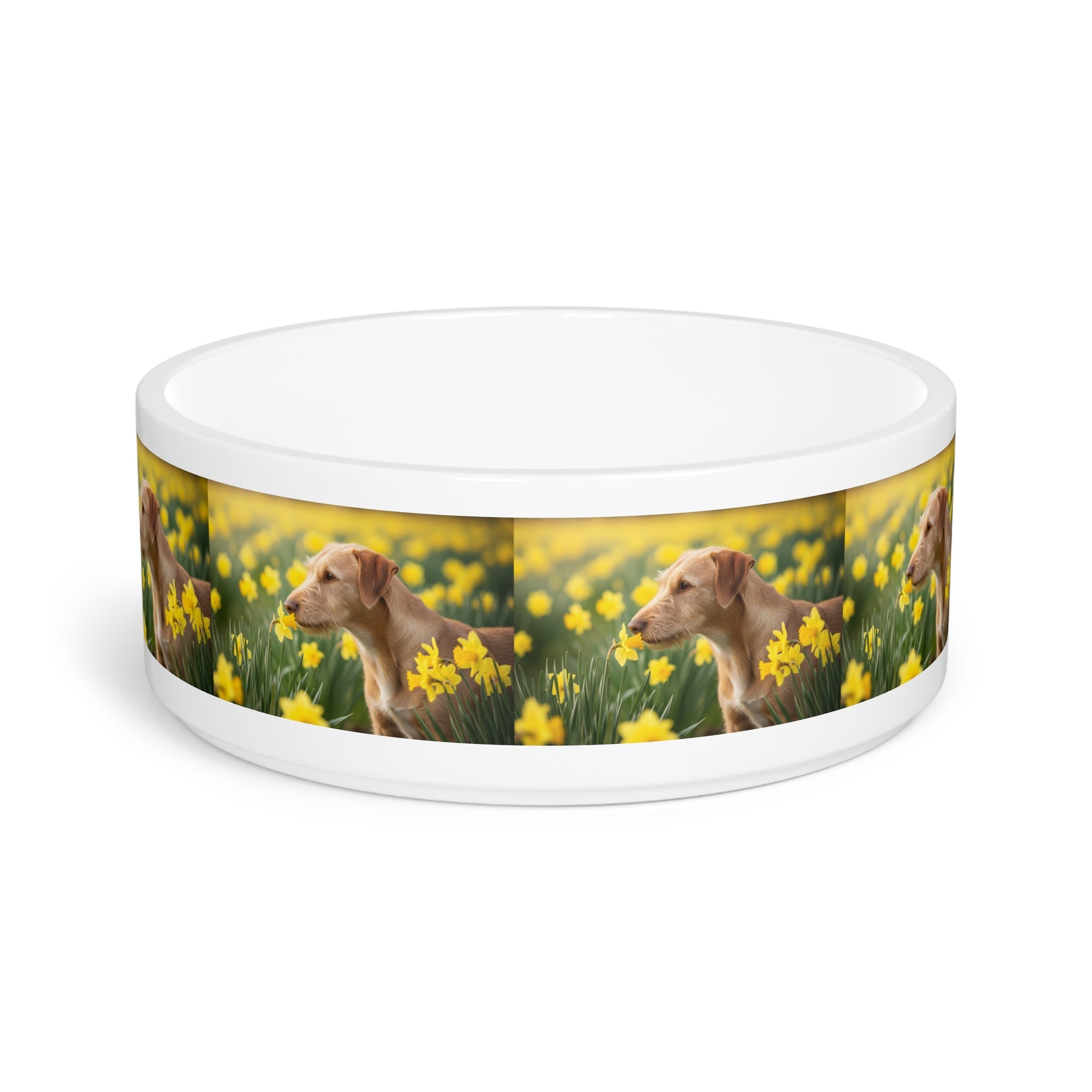 Ceramic Pet Bowl – 16 oz Dog Feeding Bowl
