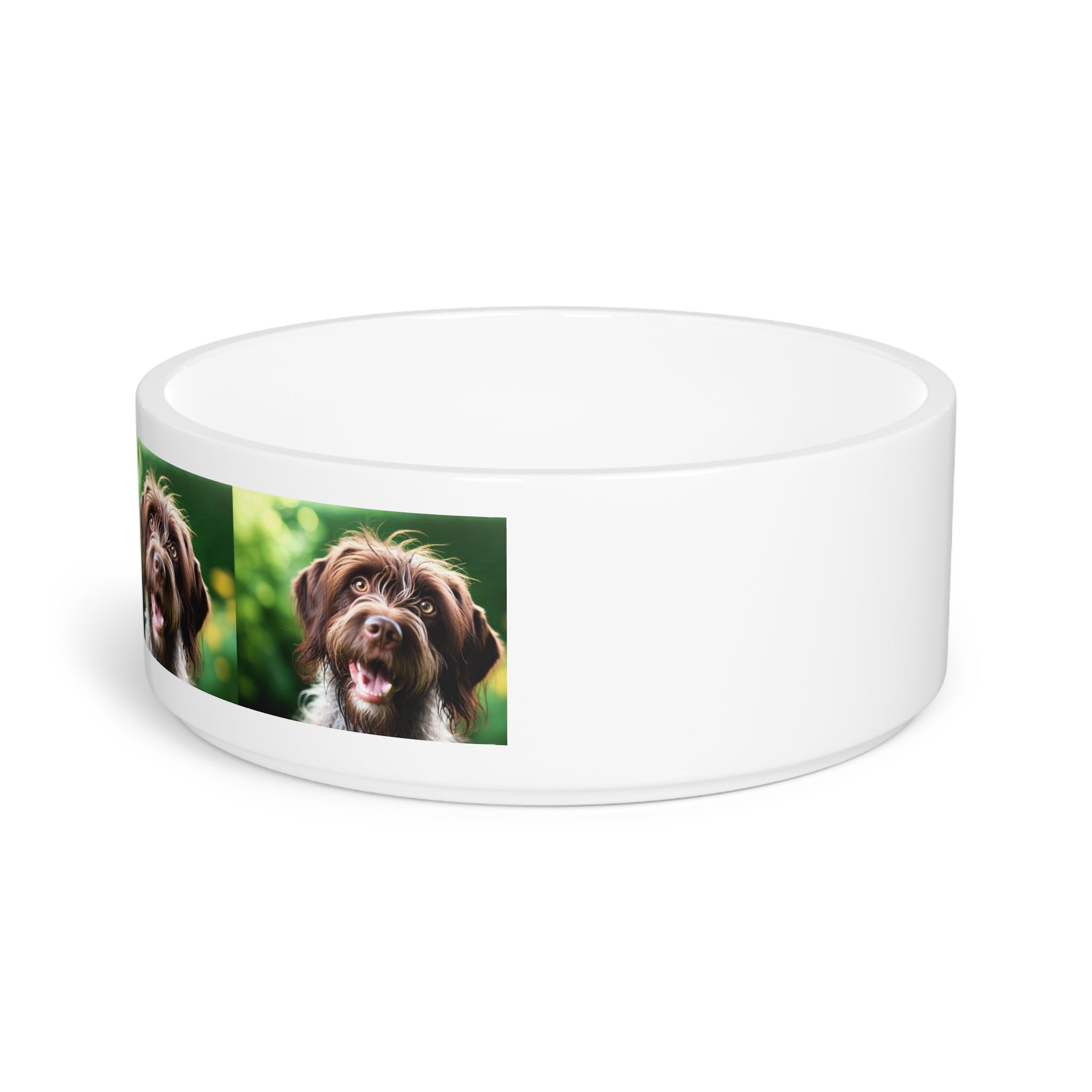 Ceramic Pet Bowl – 16 oz Dog Feeding Bowl
