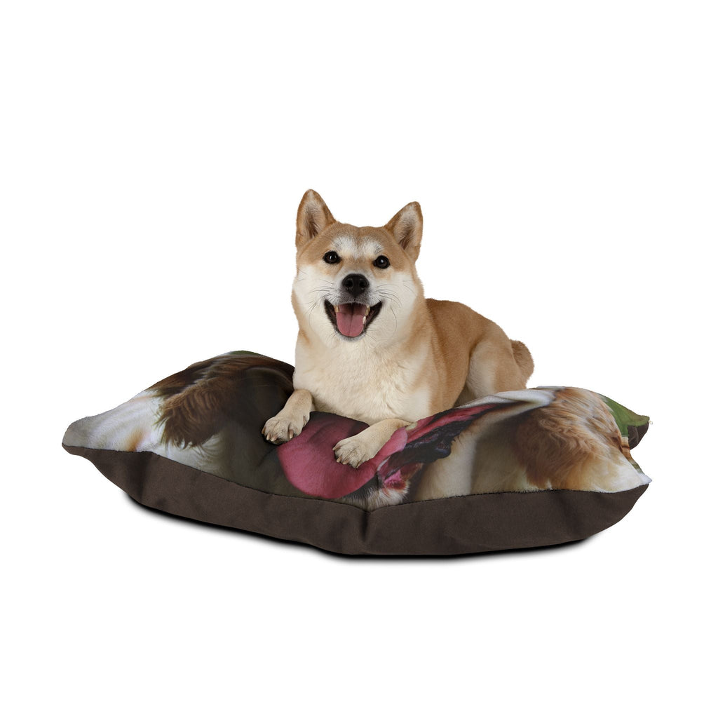 Pet Bed – Plush Dog Bed, 3 Size Options